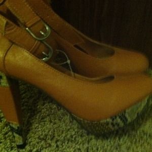 Brown with snake skin trim