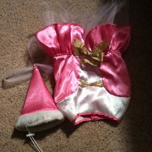 Girl dog costume fairy / princess