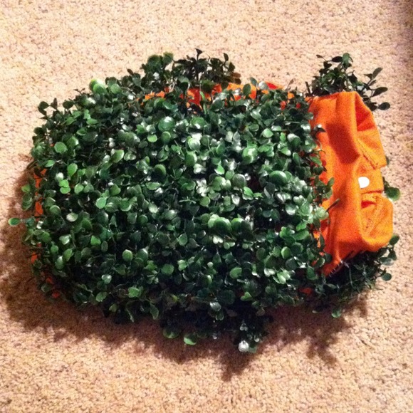 Homemade male or female chia pet costume