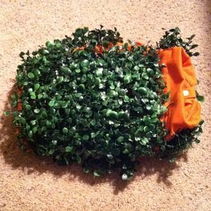 Homemade male or female chia pet costume
