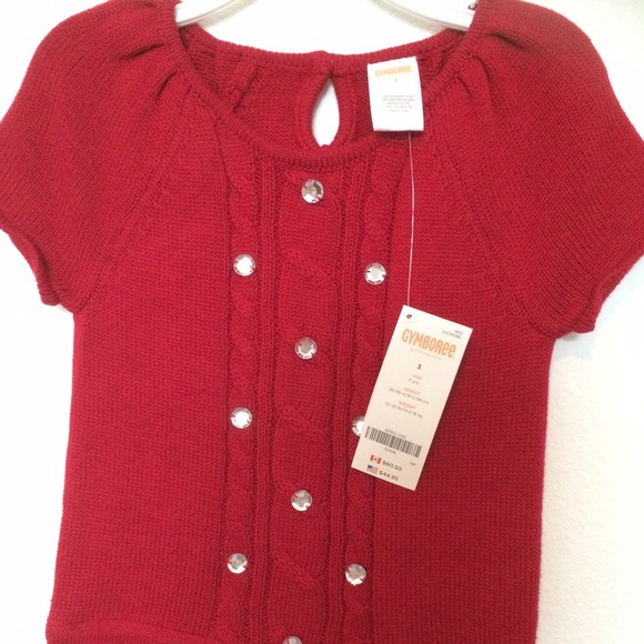 NWT Gymboree Sweater Knit Dress, 3T - Picture 4 of 4