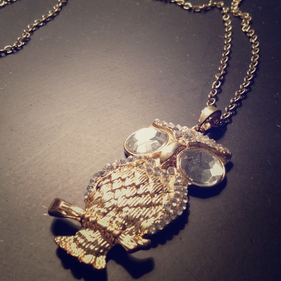 Owl Necklace ⭐️ - Picture 1 of 1