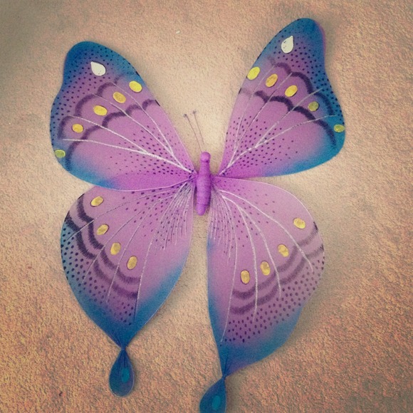 Beautiful purple butterfly!