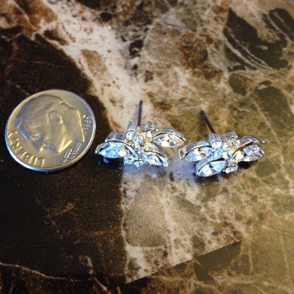 Earrings**