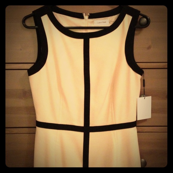 NWT! Calvin Klein Modern Cream/Black Sheath Dress