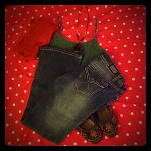 Blue-gray wash flare Earl jeans. Never worn!