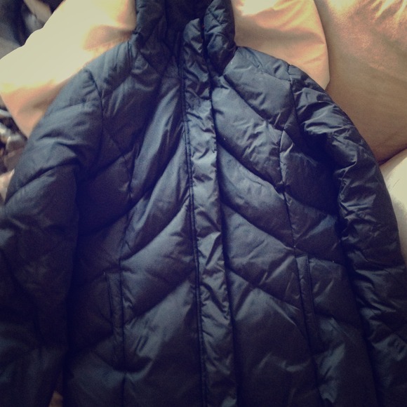 Tommy Hilfiger Winter Coat - Picture 1 of 4