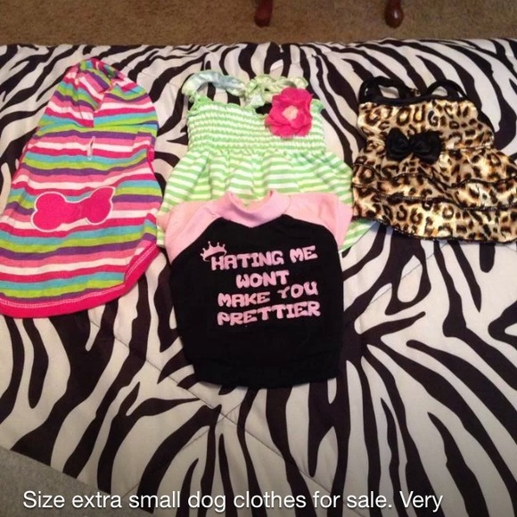 Xs dog clothes!