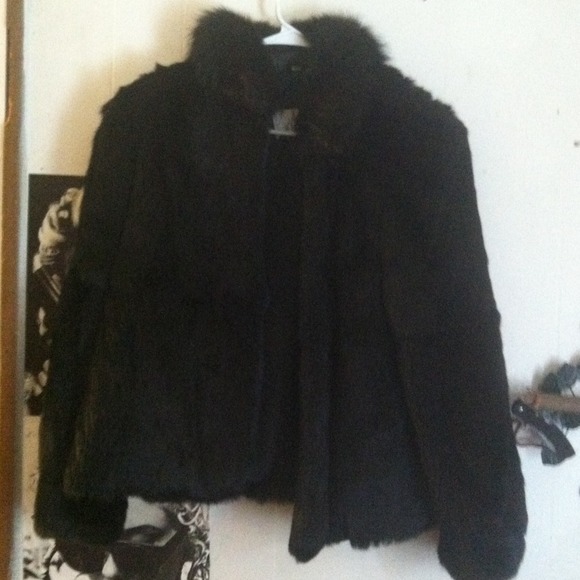 Black fur will keep you warm when it snows.