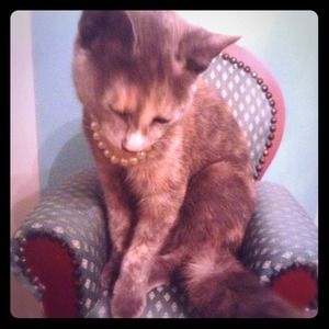 Just Sharing My Celestina!