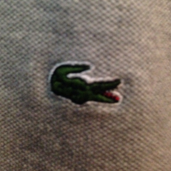 Authentic lacoste Polo grey - Picture 2 of 3