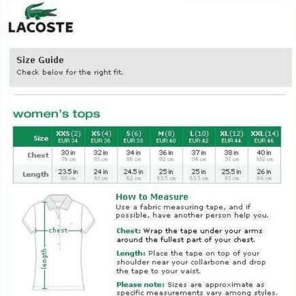 Authentic lacoste Polo grey - Picture 3 of 3