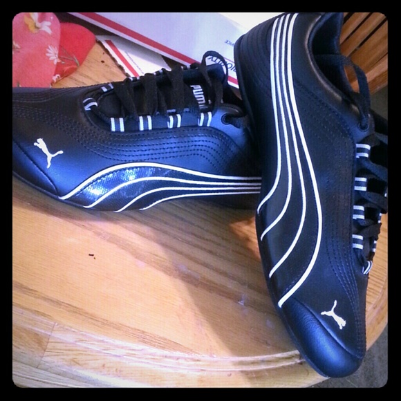 *** ON HOLD*** Pumas!
