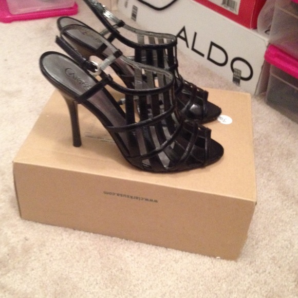 Caged Animal - Picture 2 of 3