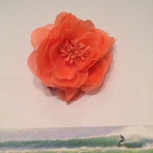Floral hair clips (coral)