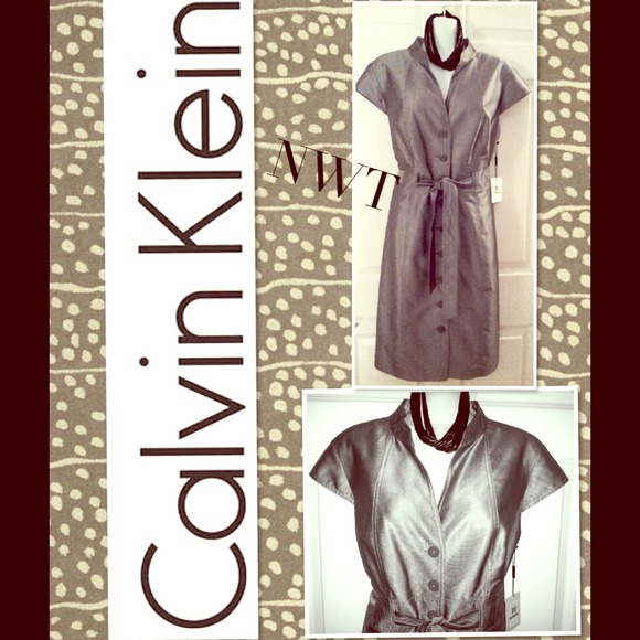 CALVIN KLIEN SILVER DRESS ** NWT **Beautiful color