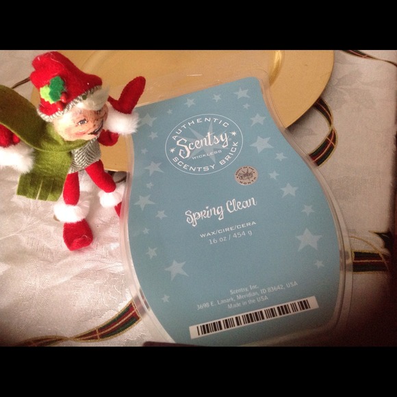 Scentsy block