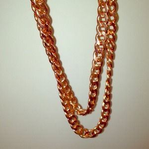Bauble bar rose double curb chain