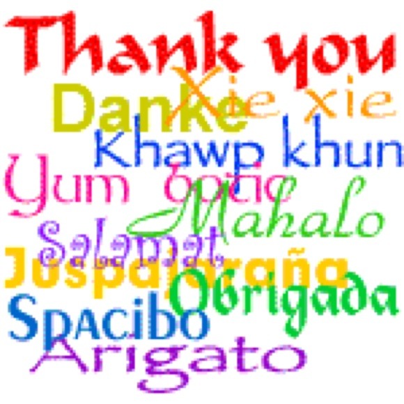🎉HUGE THANK YOU TO ALL THE GREAT POSHERS🎉