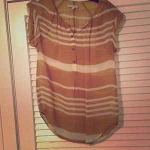 Light green and white striped silk sheer top