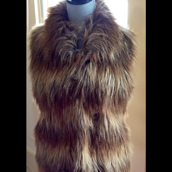 Alp and About Vest - Picture 3 of 4