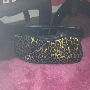 Cheetah clutch