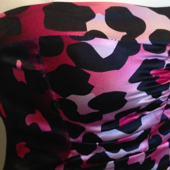 Cache Silk Dress - Picture 5 of 5