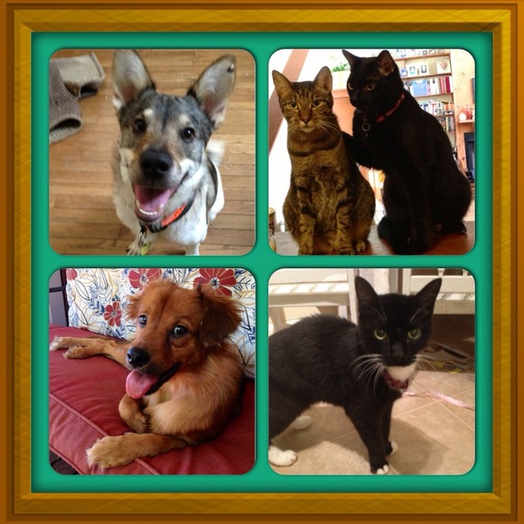 β¨πMeet your seller πβ¨ A Poshmark Suggested User - Picture 4 of 4