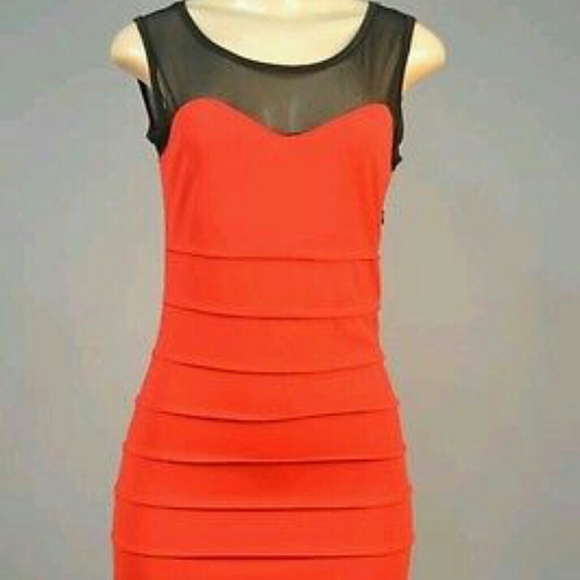 Clothes - Picture 3 of 3