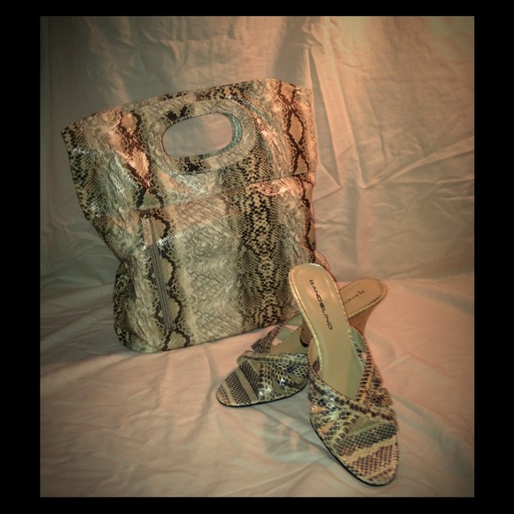 Snake skin bag & shoes