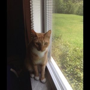 I will be out from 12/22-12-29🚢