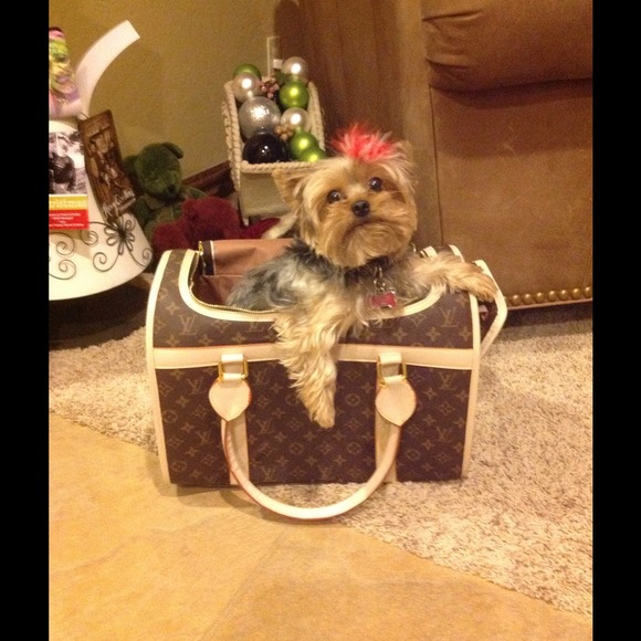 LV dog carrier ~ NEVER USED