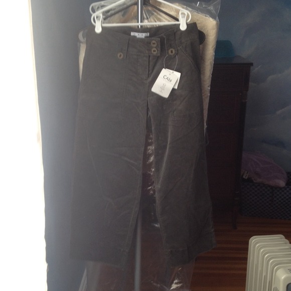 Cabi pants