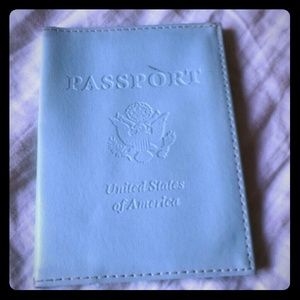 Baby blue passport case