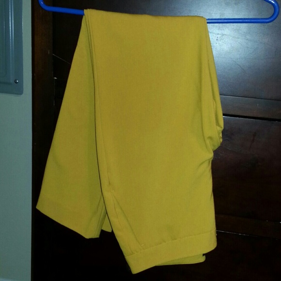 Vince camuto pants