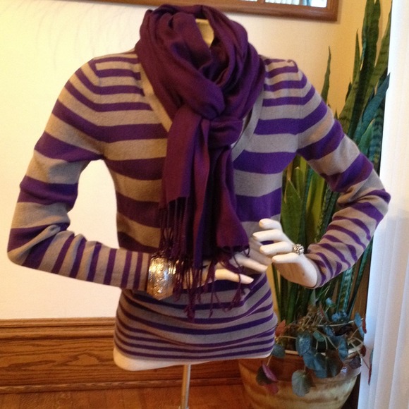 🎉HP🎉Gap Purple Striped V-neck Sweater