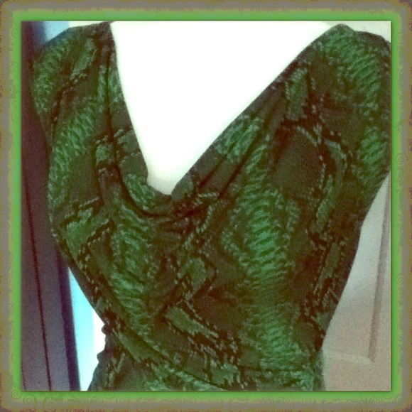 🚫SOLD🚫✨New Listing✨Python Print Top