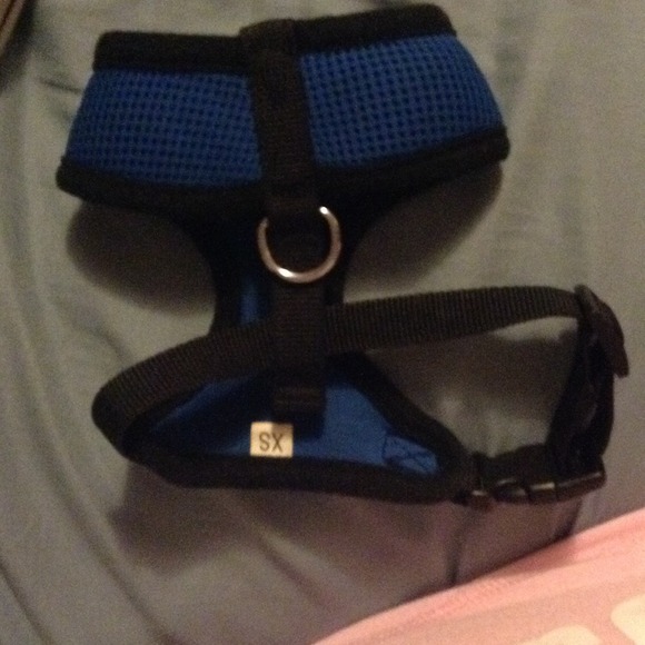 Harness