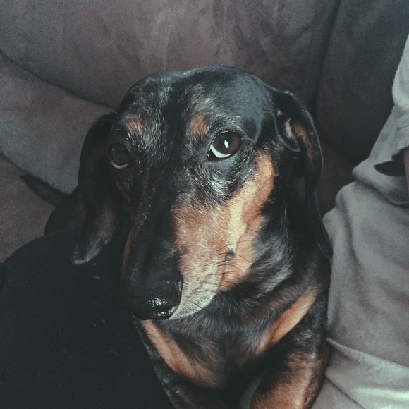 MEET ME π¦ - Picture 4 of 5