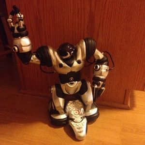 Robosapien Toy Robot