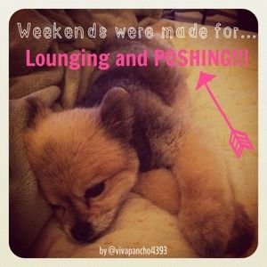 Weekends were made for lounging & POSHING