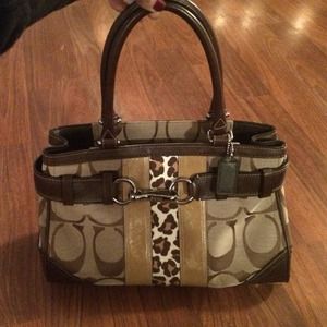 Cheetah Stripe Coach Bag