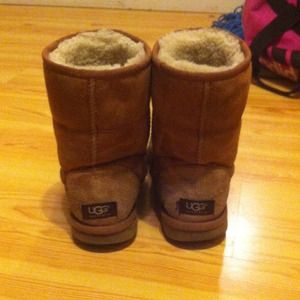Short chestnut uggs