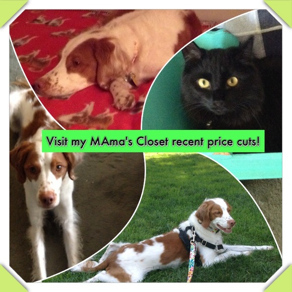 🎄🎄🎄🎁🎁🎅PRICE CUTS ON MANY ITEMS 🎅🎁🎁🎄🎄🎄