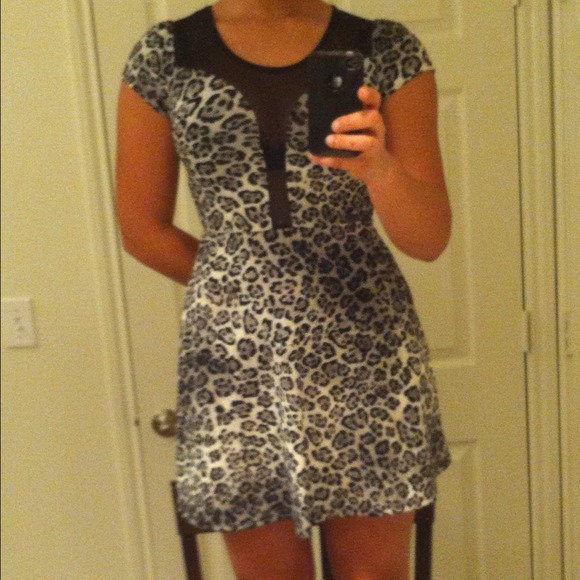 Gray leopard animal print mesh inset mini dress - Picture 4 of 4