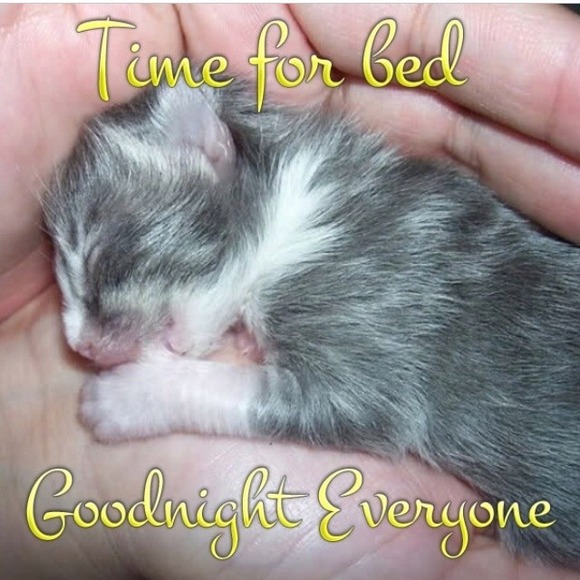 Goodnight poshers!