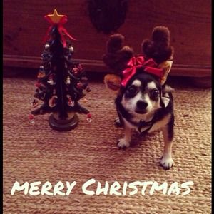 Happy Holiday's! 🎄🎅🎁