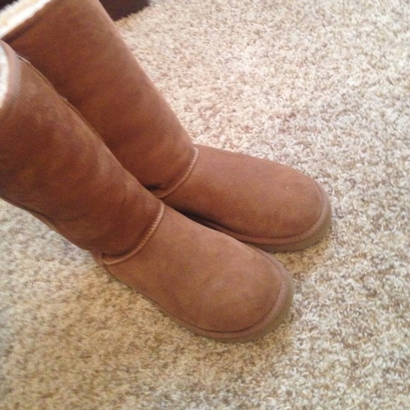 Tall chestnut uggs