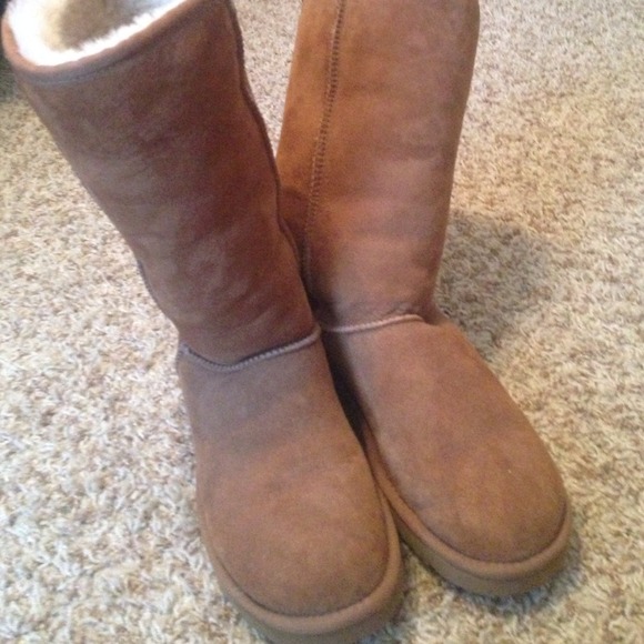 Tall chestnut uggs