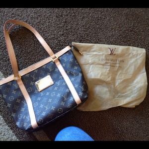 BNWOT Purse and dust bag